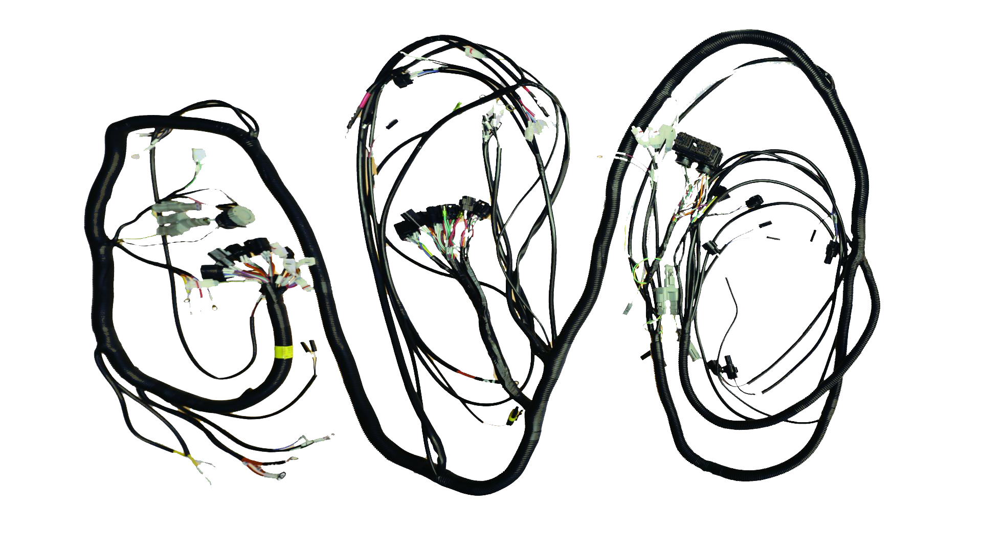 W020240830560584800772 W020240830560584800772